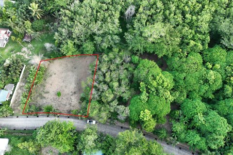 Terrain à Pa Klok, Thaïlande 1256 m2 № 161217 - photo 5