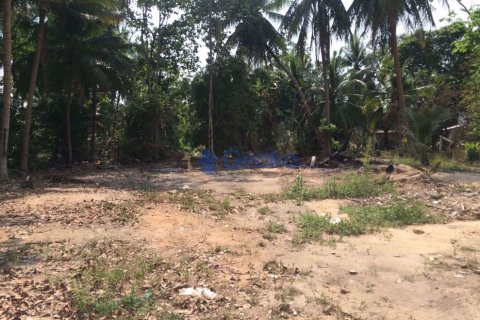 Land in Pattaya, Thailand № 197241