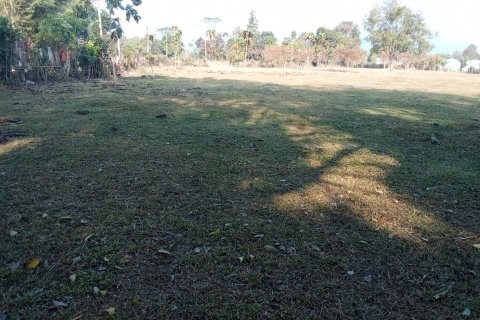 Terrain à Chiang Rai, Thaïlande 2362 m2 № 170635 - photo 4