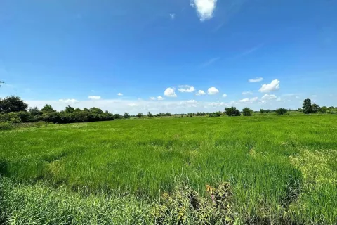 Land in Nakhon Ratchasima, Thailand 25600 sq.m. № 156675 - photo 4