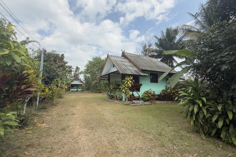 Land in Pai, Thailand 6400 sq.m. № 163445 - photo 6