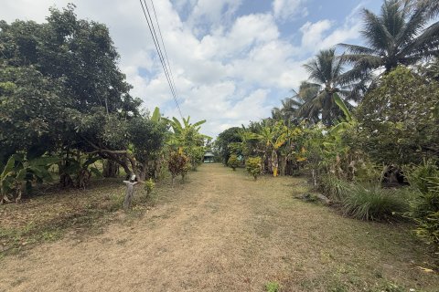 Land in Pai, Thailand 6400 sq.m. № 163445 - photo 5