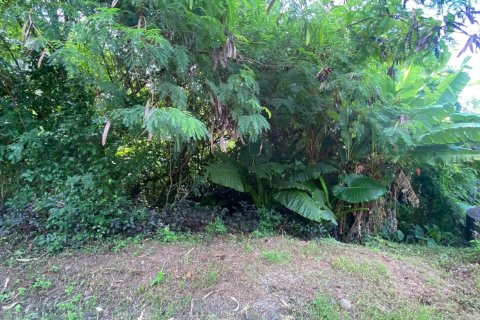 Земельный участок в Пхукете, Таиланд 1460м2  № 150159 - фото 4