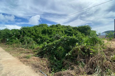 Земельный участок в Пхукете, Таиланд 1460м2  № 150159 - фото 2