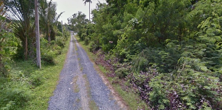 Земельный участок в Пхукете, Таиланд 1460м2  № 150159