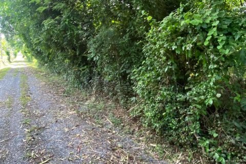 Земельный участок в Пхукете, Таиланд 1460м2  № 150159 - фото 5