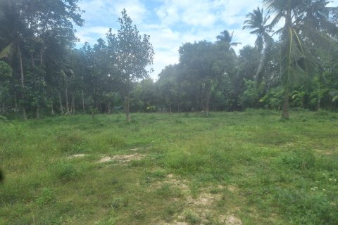 Land in Ko Samui, Thailand № 154529 - photo 1