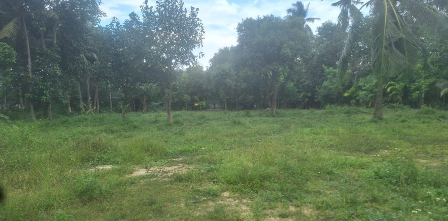 Land in Ko Samui, Thailand № 154529