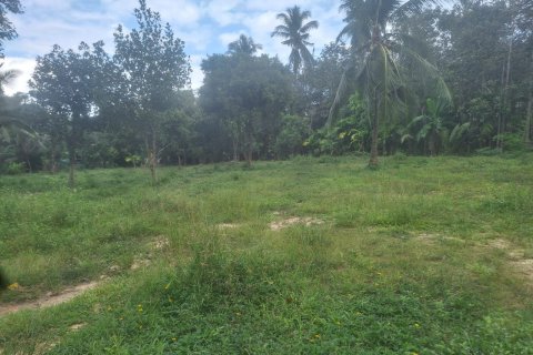 Land in Ko Samui, Thailand № 154529 - photo 2