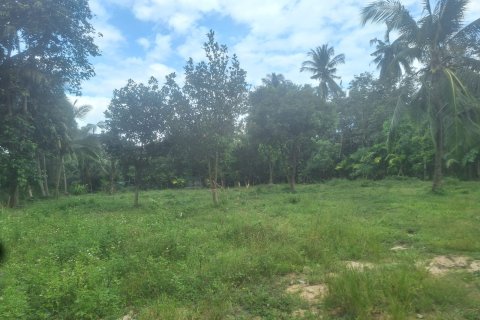 Land in Ko Samui, Thailand № 154529 - photo 5