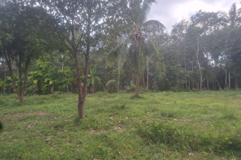 Land in Ko Samui, Thailand № 154529 - photo 4