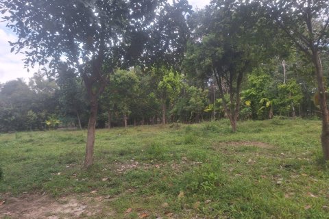 Land in Ko Samui, Thailand № 154529 - photo 6