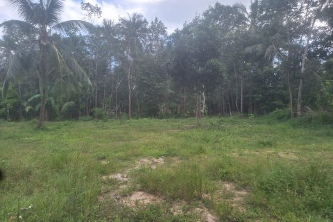 Land in Ko Samui, Thailand № 154529 - photo 3