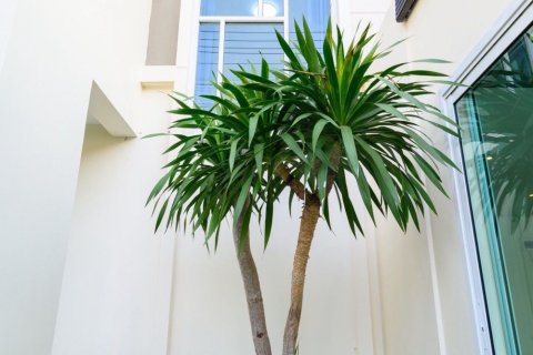 House in Pattaya, Thailand 2 bedrooms № 168915 - photo 17