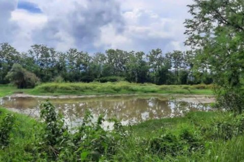 Land in Chiang Rai, Thailand № 162300 - photo 3