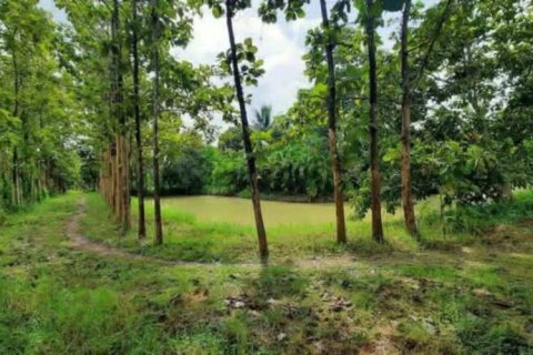 Land in Chiang Rai, Thailand № 162300 - photo 9