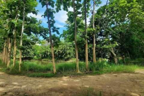 Land in Chiang Rai, Thailand № 162300 - photo 6