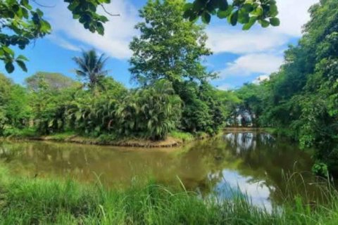 Land in Chiang Rai, Thailand № 162300 - photo 8