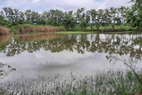 Land in Chiang Rai, Thailand № 162300 - photo 5