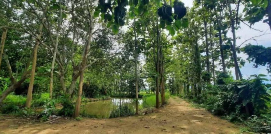 Land in Chiang Rai, Thailand № 162300