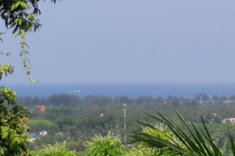 Land in Mai Khao, Thailand 1600 sq.m. № 156128 - photo 2