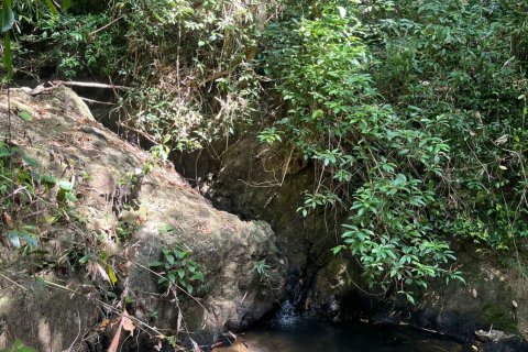 Земельный участок в Пхукете, Таиланд 22400м2  № 141510 - фото 6