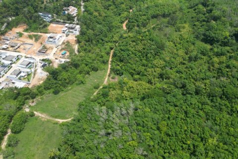 Земельный участок в Пхукете, Таиланд 22400м2  № 141510 - фото 18