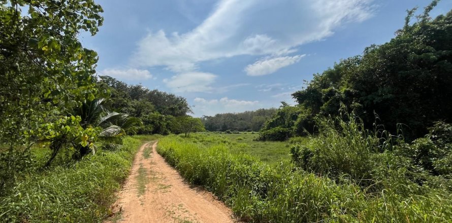 Земельный участок в Пхукете, Таиланд 22400м2  № 141510