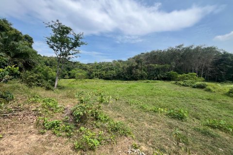 Земельный участок в Пхукете, Таиланд 22400м2  № 141510 - фото 15