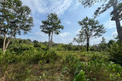 Земельный участок в Пхукете, Таиланд 22400м2  № 141510 - фото 8