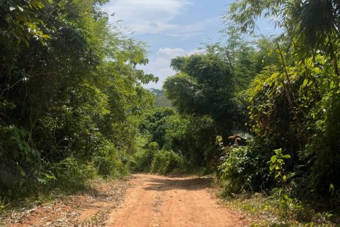 Земельный участок в Пхукете, Таиланд 22400м2  № 141510 - фото 16