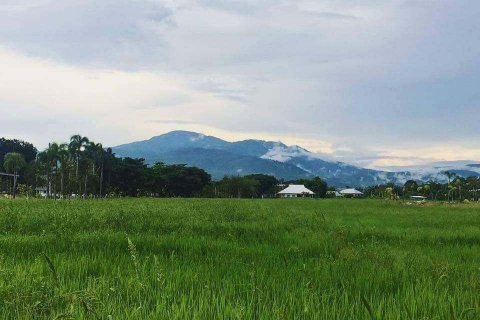 House in Mae Rim, Thailand 3 bedrooms № 141509 - photo 17