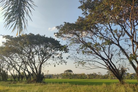 House in Mae Rim, Thailand 3 bedrooms № 141509 - photo 18