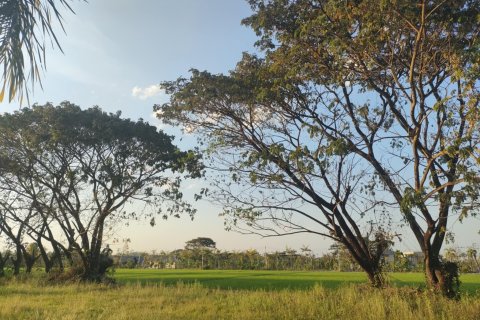 House in Mae Rim, Thailand 3 bedrooms № 141509 - photo 20