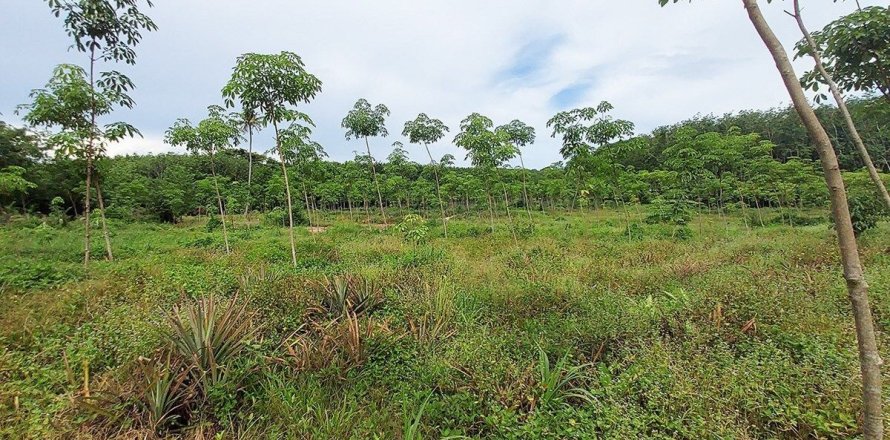 Land in Rayong, Thailand 80000000 sq.m. № 173323