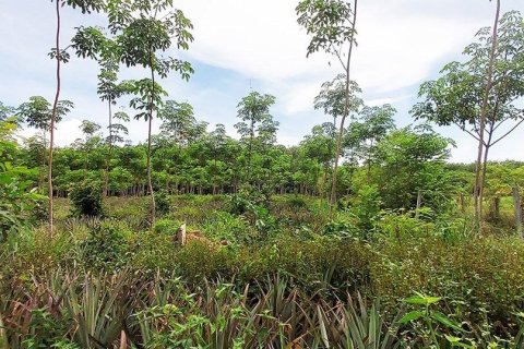 Land in Rayong, Thailand 80000000 sq.m. № 173323 - photo 5