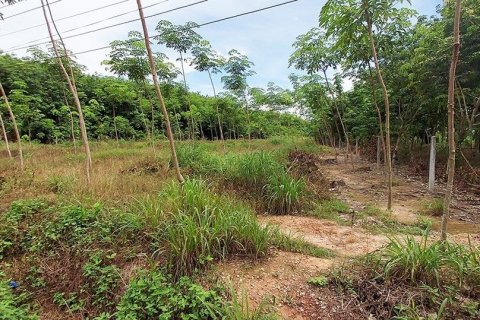 Land in Rayong, Thailand 80000000 sq.m. № 173323 - photo 9