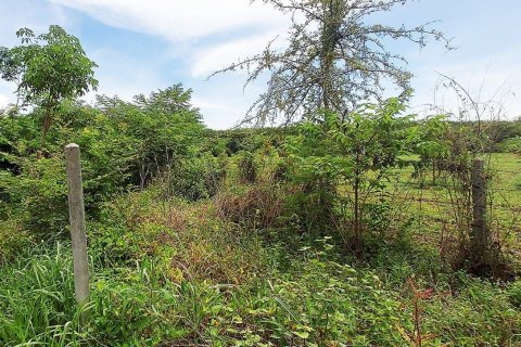 Land in Rayong, Thailand 80000000 sq.m. № 173323 - photo 8