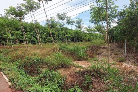 Land in Rayong, Thailand 80000000 sq.m. № 173323 - photo 12