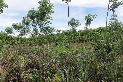 Land in Rayong, Thailand 80000000 sq.m. № 173323 - photo 6