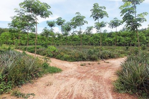 Land in Rayong, Thailand 80000000 sq.m. № 173323 - photo 2