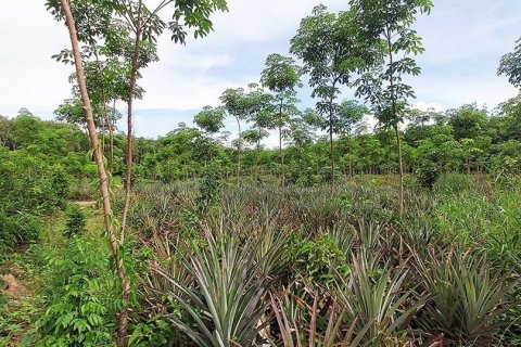 Land in Rayong, Thailand 80000000 sq.m. № 173323 - photo 7
