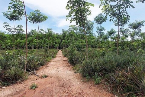 Land in Rayong, Thailand 80000000 sq.m. № 173323 - photo 3