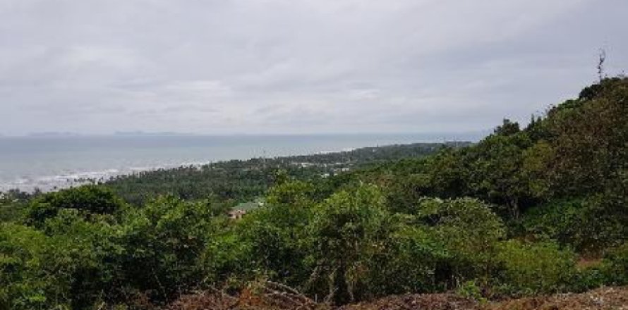 Terrain à Ko Lanta Yai, Thaïlande 1084 m2 № 192875