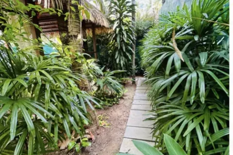 Дом в Кату, Таиланд с 3 спальнями  № 162113 - фото 29