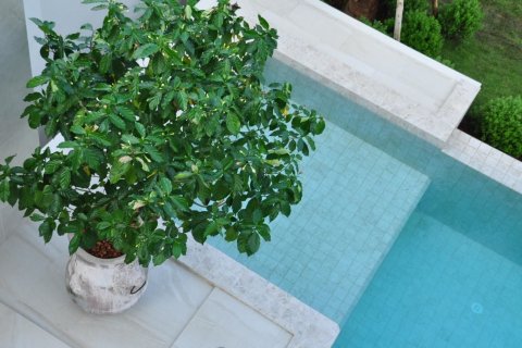 Вилла в Ханг Донге, Таиланд с 4 спальнями  № 157176 - фото 11