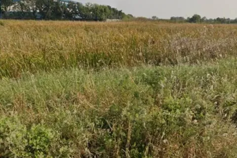 Land in Bang Pakong, Thailand 1600 sq.m. № 172141 - photo 4