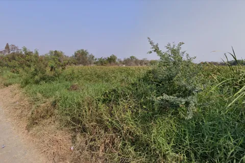 Land in Bang Pakong, Thailand 1600 sq.m. № 172141 - photo 2