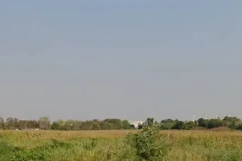 Land in Bang Pakong, Thailand 1600 sq.m. № 172141 - photo 5