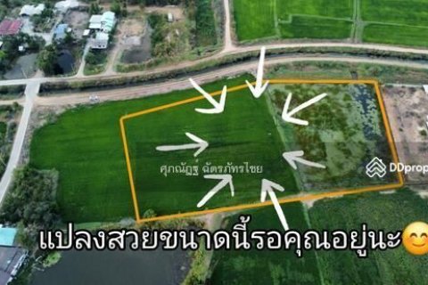 Terrain à Bang Pa-in, Thaïlande 9600 m2 № 158018 - photo 9